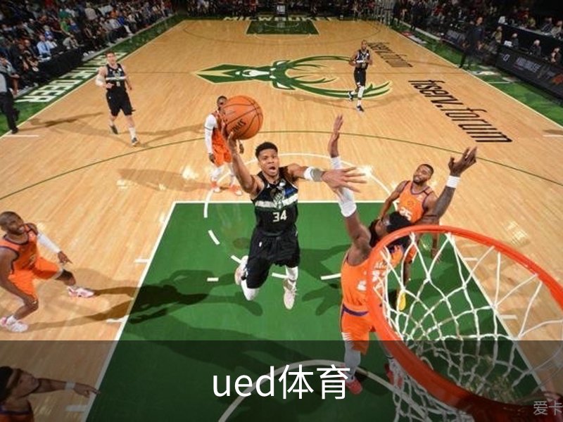 ued体育概况